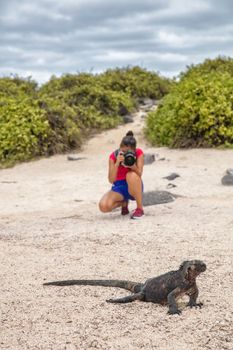 Galapagos Christmas Iguana and tourist wildlife photographer taking picture. Marine iguana on Espanola Island, Ecuador, South America. Woman on Galapagos cruise ship adventure travel holidays vacation