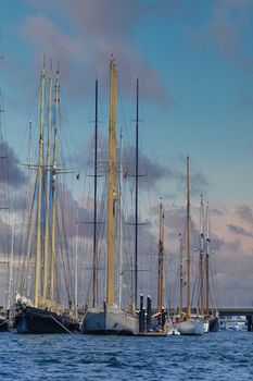 Empty Masts on Sailboats in Harbor near Newport