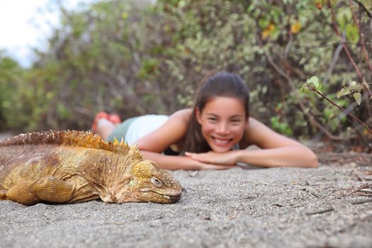 Tourist people enjoying wildlife and nature looking at Galapagos Land Iguana - yellow land iguana in Urbina Bay, Isabela, Galapagos. Amazing animals and wildlife in Galapagos Islands, Ecuador.