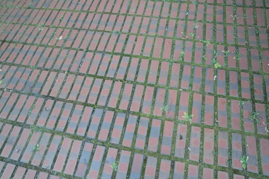 Closeup texture of brick floor. A background of a weathered old exterior brick floor with copy space for text