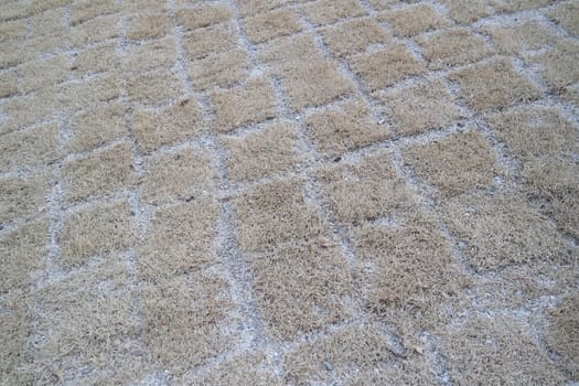 Closeup texture of brick floor. A background of a weathered old exterior brick floor with copy space for text