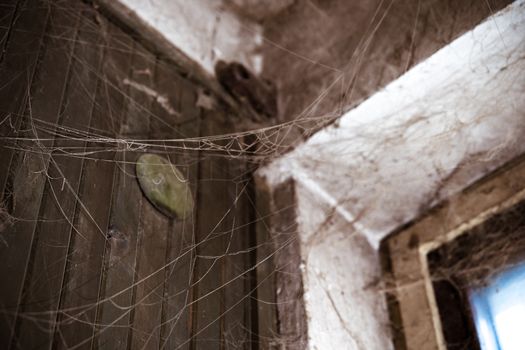 cobwebs in the corner of the room.