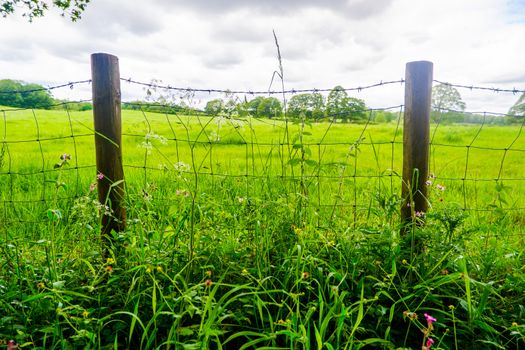 wire fence and hedge enclosing farmland at Sedgwick UK