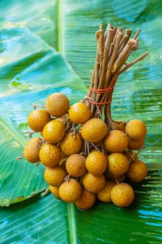 A bunch of longan branches on a background of green banana leaf. Vitamins, fruits, healthy foods.