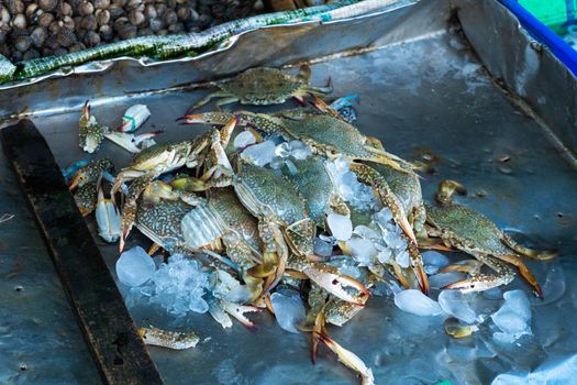 Fresh seafood on the counter at the fish market by the ocean