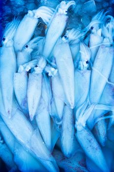 Fresh seafood on the counter at the fish market by the ocean