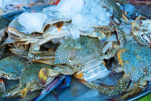 Fresh seafood on the counter at the fish market by the ocean