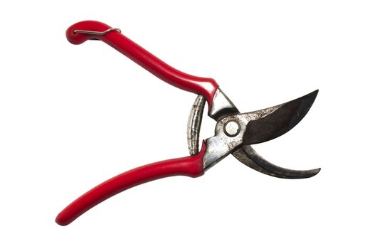 vineyard scissors isolated on a white background