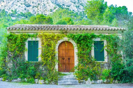 Front view of a romantic cottage with beautiful green plants