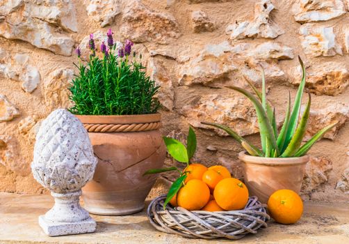 Beautiful provence mediterranean style decoration with lavender and tropical fruits