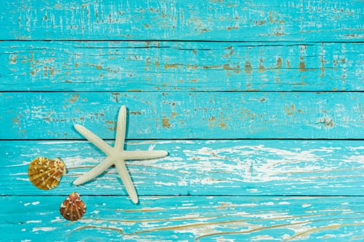 Starfish and seashell on blue wooden background with copy space