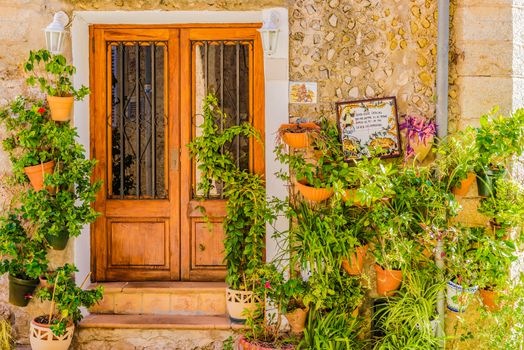 Typical potted plants in the old village of Valldemossa, Mallorca Spain Balearic islands