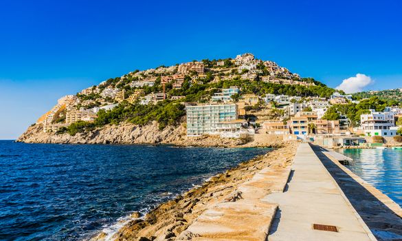 Coastline of Port de Andratx on Mallorca island, Spain Mediterranean Sea