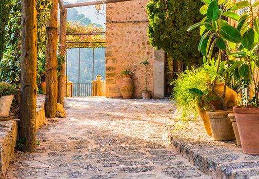 Mediterranean terrace with beautiful potted plants and idyllic sunset light