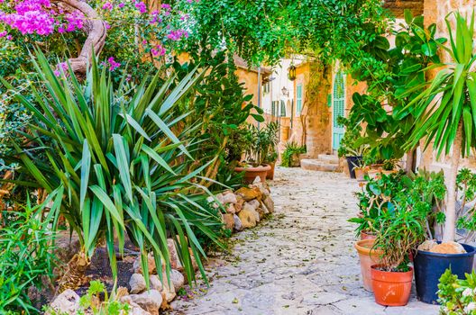 Mediterranean house with beautiful flower pots and potted plants garden