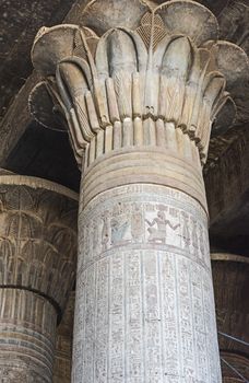 Columns in the ancient egyptian temple of Khnum at Esna with hieroglyphic carvings