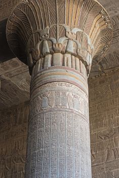 Column in the ancient egyptian temple of Khnum at Esna with hieroglyphic carvings