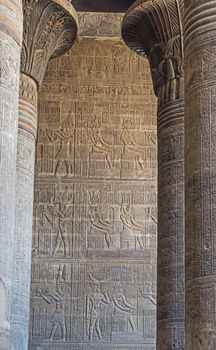 Columns in the ancient egyptian temple of Khnum at Esna with hieroglyphic carvings