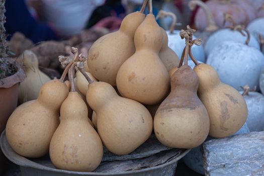 Dried bottle gourd or calabash gourd in northern market of Thailand.