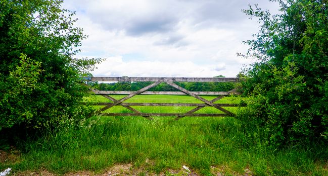 Wooden gate with open field, hawthron hedge and grey sky