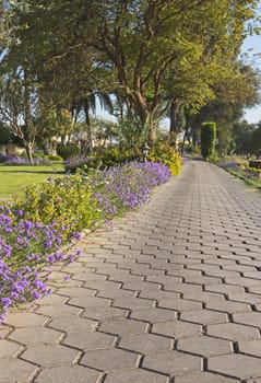 Stone footpath through flowering bushes and trees in tropical ornamental garden grounds