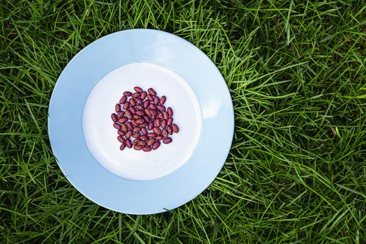 Dry red bean on a blue rimmed plate on top of green grass