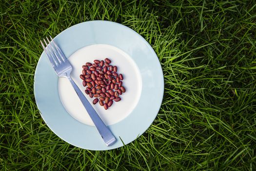 plate of dry red bean, with fork, sitting on top of green grass