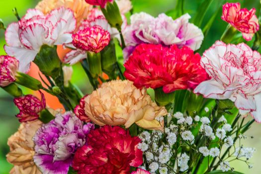floral background of multi-colored flowers . Beautiful bouquet of carnation. colorful carnation. Orange carnations and yellow gerbera are blooming in the garden.