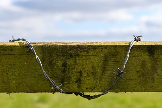 Close up of a barbed wire fence