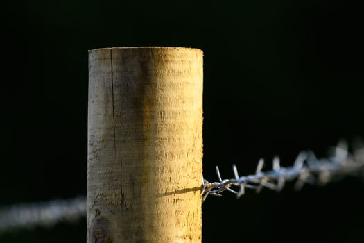 Barbed wire fence post isolated on dark background