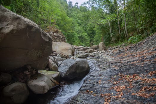 Mountain river in the stone bed at summer