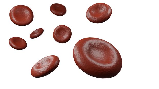 Red Blood Cell isolated, 3D render