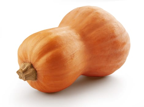 Isolated orange pumpkin on the white background