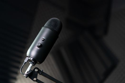 Studio condenser microphone in a recording studio.