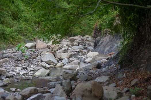 Mountain river in the stone bed at summer