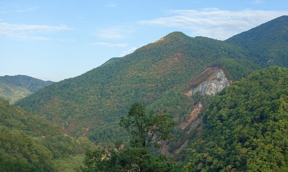 Green forested mountains of Caucasus in the summer