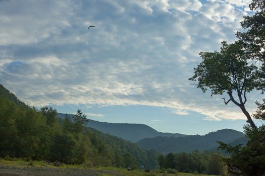 Forested mountains of Caucasus in the morning