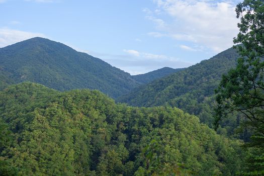 Some forested mountains of Caucasus in the summer