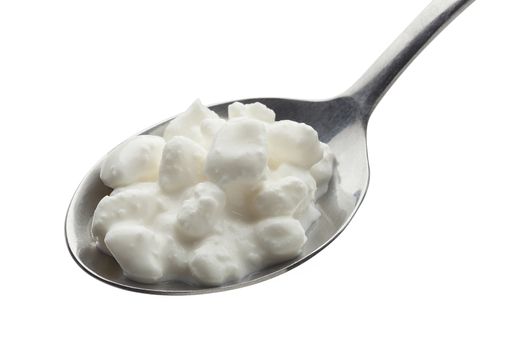 Grained cottage cheese on the metal spoon