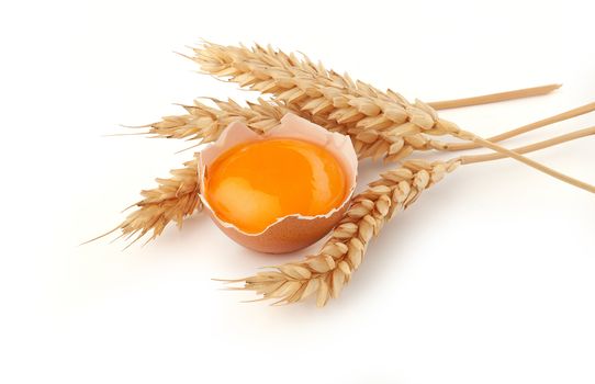 Yolk of egg in broken eggshell and wheat’s spikelets on the white