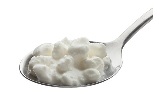 Grained cottage cheese on the metal spoon