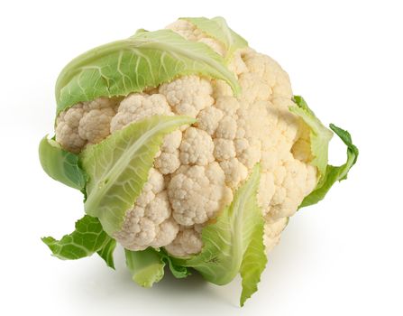 Isolated raw head of cauliflower on the white background