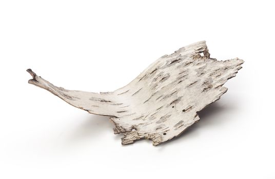 Isolated piece of birch bark on the white