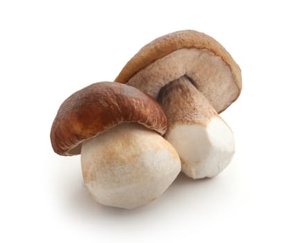 Isolated raw white mushrooms on the white background