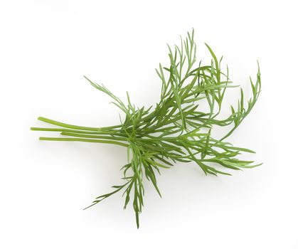 Top view of small bundle of green dill sprigs on the white background