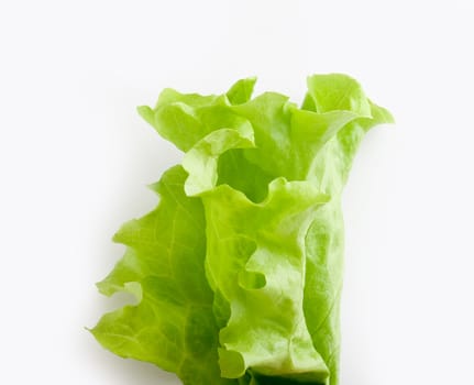 Top view of fresh green lettuce on the white background