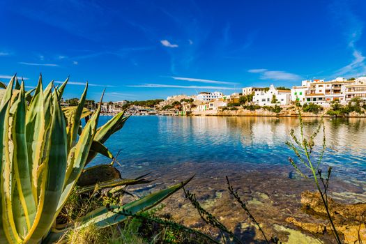 Beautiful coast on Majorca of Portopetro, Spain Mediterranean Sea