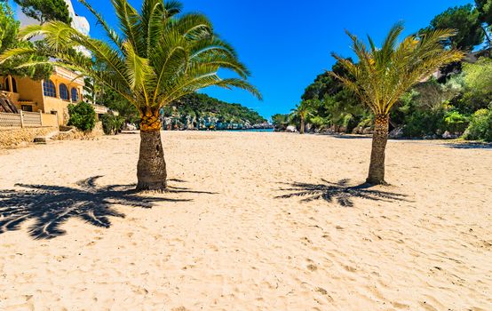 Cala Santanyi sand beach with palm trees, Mallorca island, Spain Mediterranean Sea