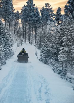 Finland, Inari- January 2019: Snowmobile dragging a trailer full of holiday makers on a tour of the arctic forests under an orange sunset sky