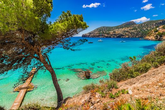 Beautiful view of Camp de Mar bay, idyllic seaside on Majorca, Spain Mediterranean Sea